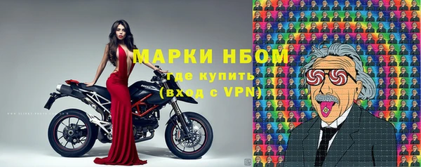 гашик Ростов