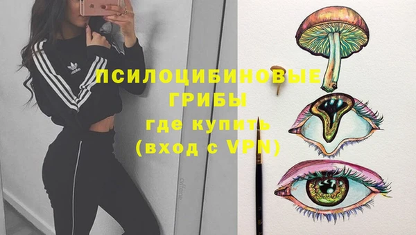 тгк Беломорск