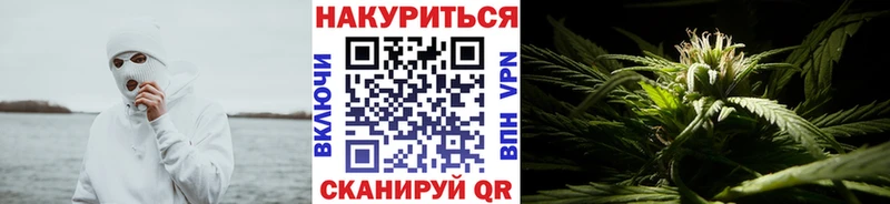 закладки  Сортавала  Бошки Шишки OG Kush 